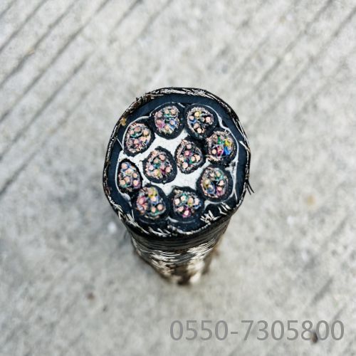 ¸ÖË¿îø×°µçÀÂ3.jpg ¸ÖË¿îø×°µçÀÂ3.jpg