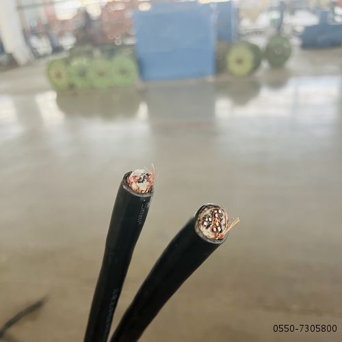 IMG_0739.jpg IMG_0739.jpg