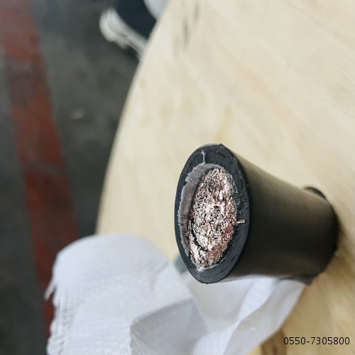 ÌØÖÖµçÀÂ....38.jpg ÌØÖÖµçÀÂ....38.jpg