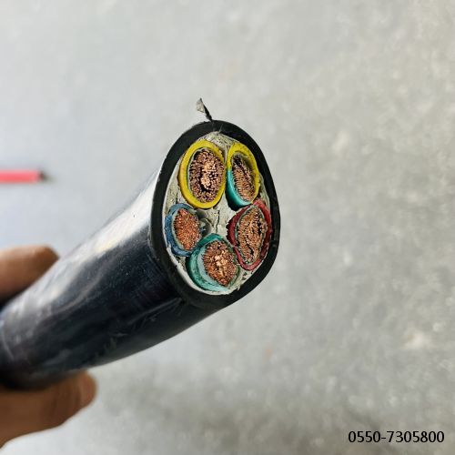 IMG_6403.jpg IMG_6403.jpg