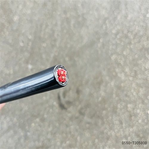 IMG_8147.jpg IMG_8147.jpg