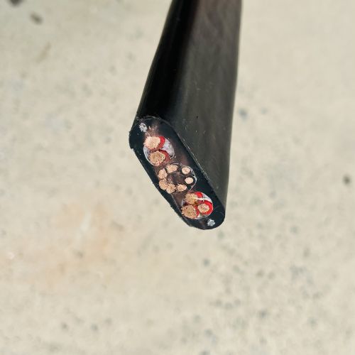 IMG_1790.jpg IMG_1790.jpg