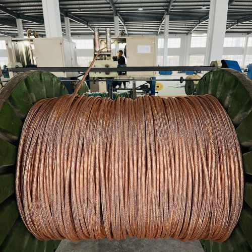 IMG_4489.jpg IMG_4489.jpg