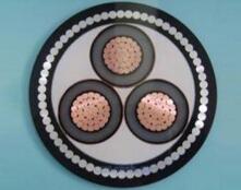 201703151002592448 201703151002592448