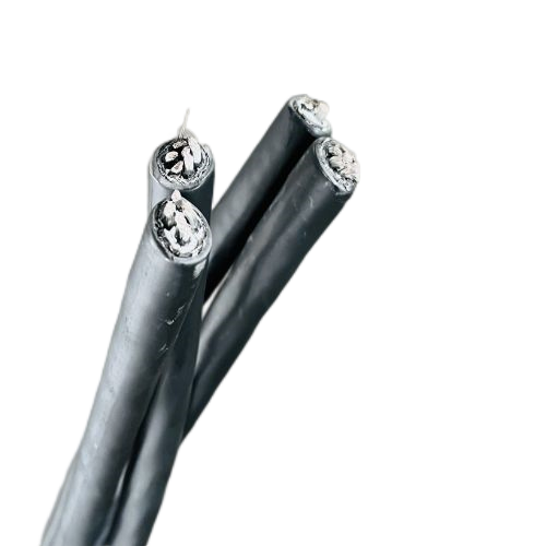 202411131556266309 202411131556266309