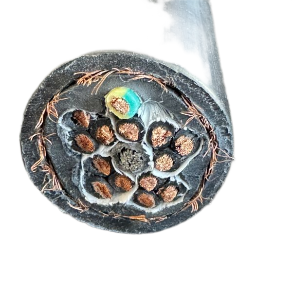 202501261533309892 202501261533309892