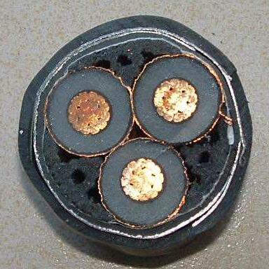 欧亚国际(中国集团)·官方网站