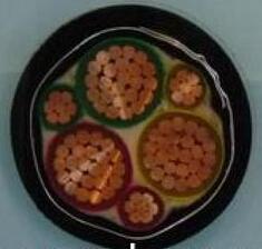 欧亚国际(中国集团)·官方网站