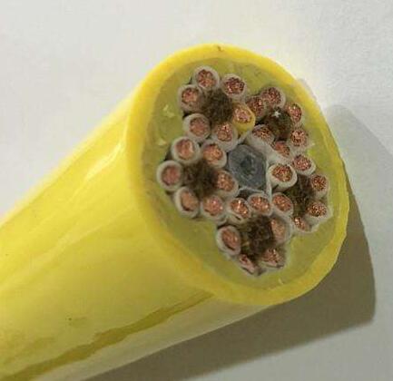 欧亚国际(中国集团)·官方网站