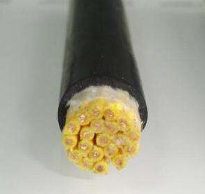 欧亚国际(中国集团)·官方网站