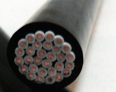 ŷ�ǹ���(�й�����)���ٷ���վ