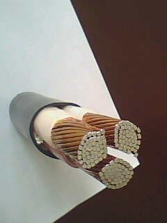 ŷ�ǹ���(�й�����)���ٷ���վ