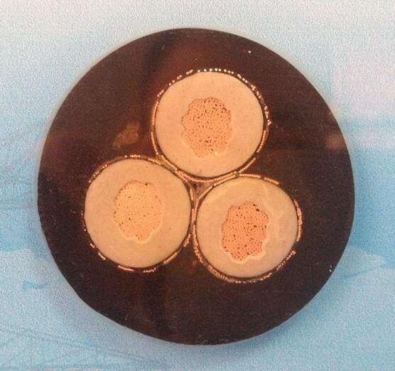 ŷ�ǹ���(�й�����)���ٷ���վ