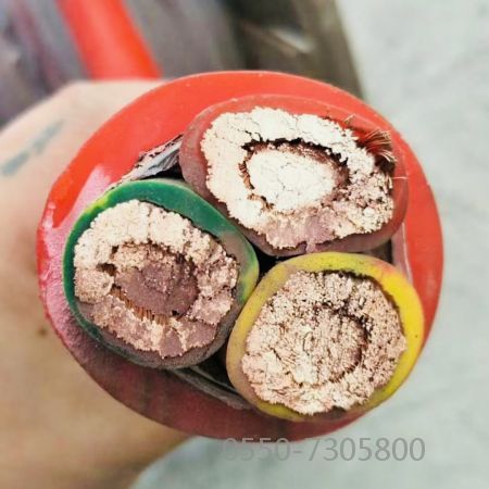 欧亚国际(中国集团)·官方网站