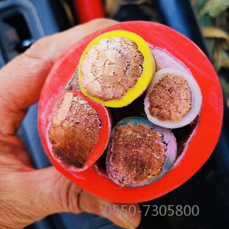 欧亚国际(中国集团)·官方网站