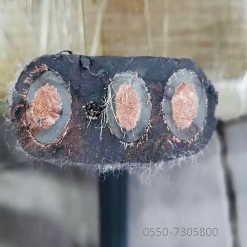 欧亚国际(中国集团)·官方网站