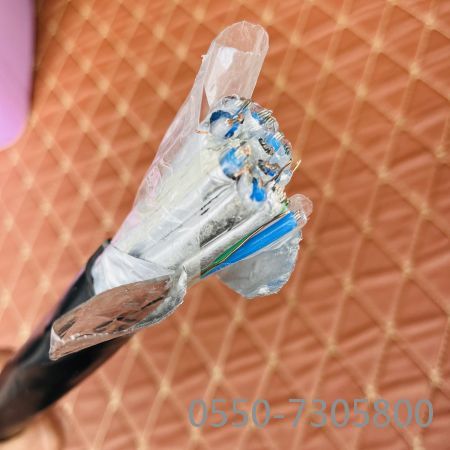 欧亚国际(中国集团)·官方网站