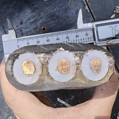 ŷ�ǹ���(�й�����)���ٷ���վ