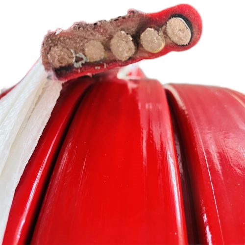 ŷ�ǹ���(�й�����)���ٷ���վ