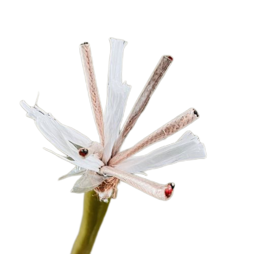 欧亚国际(中国集团)·官方网站