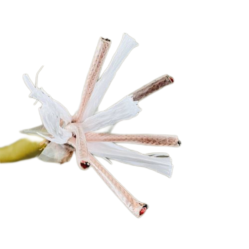 欧亚国际(中国集团)·官方网站