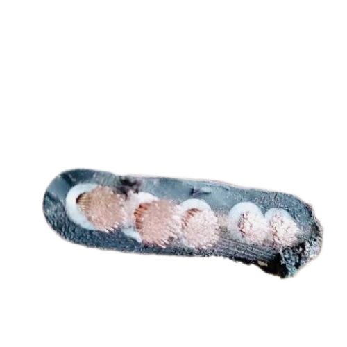 ŷ�ǹ���(�й�����)���ٷ���վ