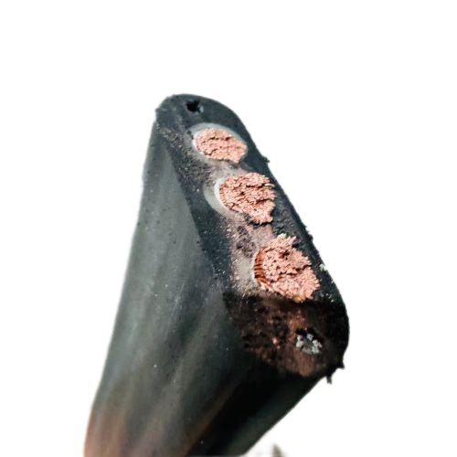 ŷ�ǹ���(�й�����)���ٷ���վ