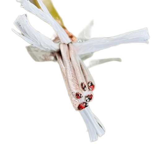 欧亚国际(中国集团)·官方网站