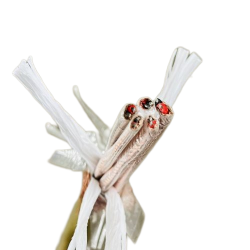 欧亚国际(中国集团)·官方网站