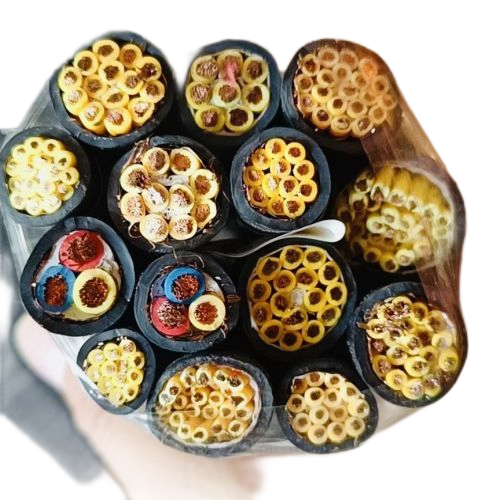 欧亚国际(中国集团)·官方网站