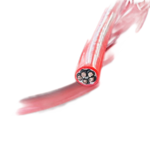 欧亚国际(中国集团)·官方网站