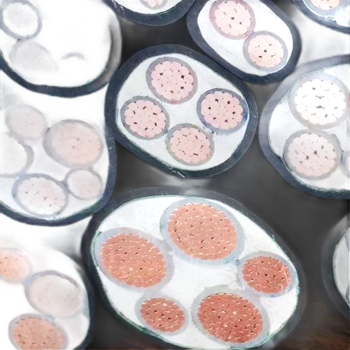 ŷ�ǹ���(�й�����)���ٷ���վ