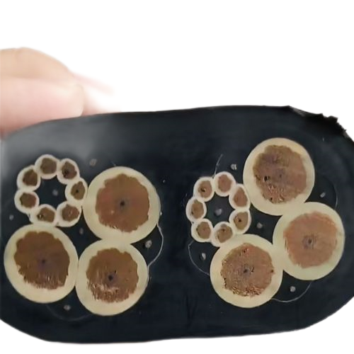 欧亚国际(中国集团)·官方网站