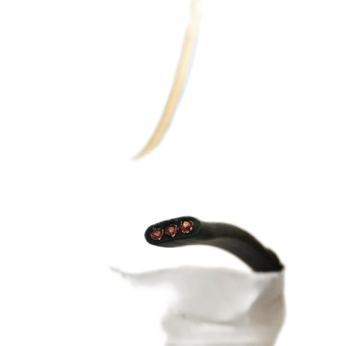 ŷ�ǹ���(�й�����)���ٷ���վ