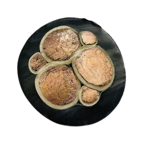 欧亚国际(中国集团)·官方网站