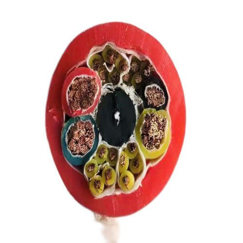 欧亚国际(中国集团)·官方网站