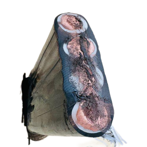 ŷ�ǹ���(�й�����)���ٷ���վ