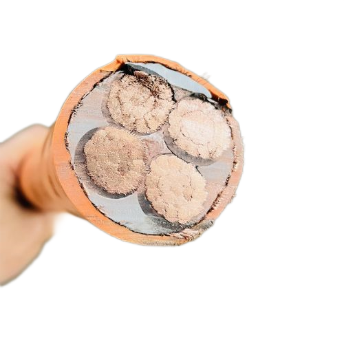 欧亚国际(中国集团)·官方网站