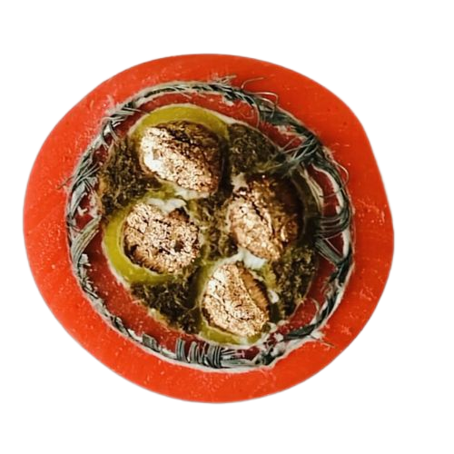 欧亚国际(中国集团)·官方网站