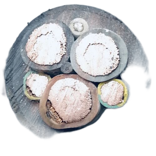 欧亚国际(中国集团)·官方网站