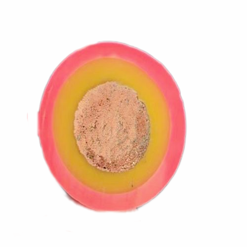 欧亚国际(中国集团)·官方网站