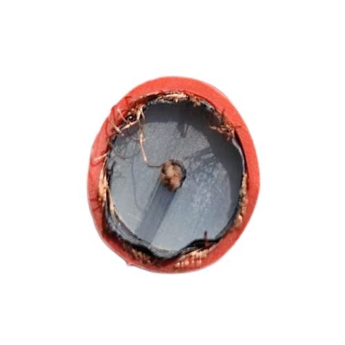 ŷ�ǹ���(�й�����)���ٷ���վ