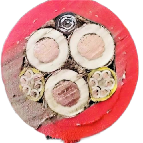 ŷ�ǹ���(�й�����)���ٷ���վ