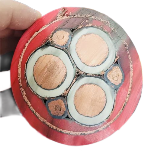 欧亚国际(中国集团)·官方网站