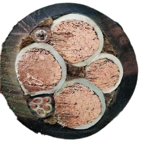 欧亚国际(中国集团)·官方网站